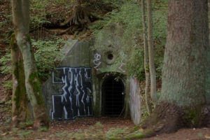 Bat Bunker