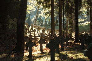 Polish graves in Antakalnis